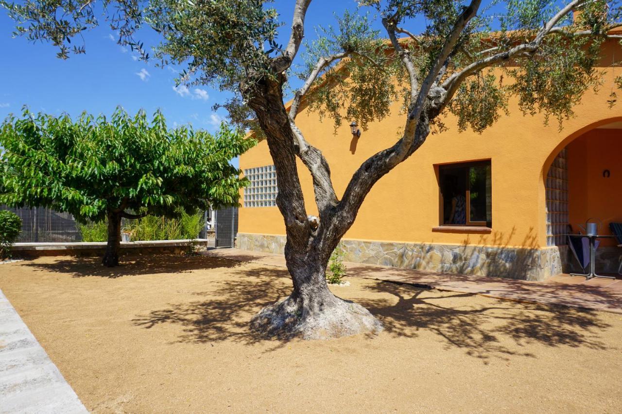 Hébergement de vacances Casa Martina